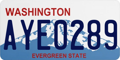 WA license plate AYE0289