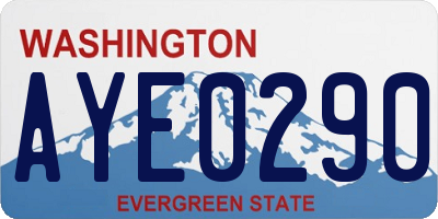 WA license plate AYE0290