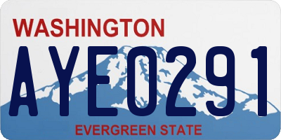 WA license plate AYE0291