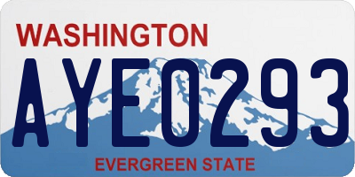 WA license plate AYE0293