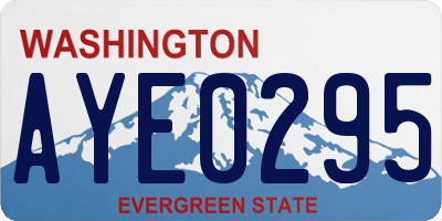 WA license plate AYE0295