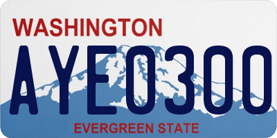 WA license plate AYE0300