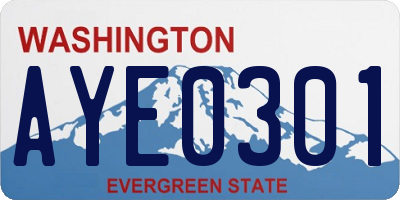 WA license plate AYE0301
