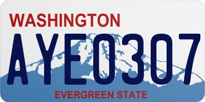 WA license plate AYE0307