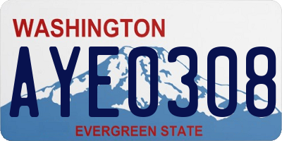 WA license plate AYE0308