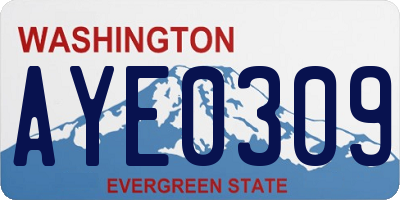 WA license plate AYE0309