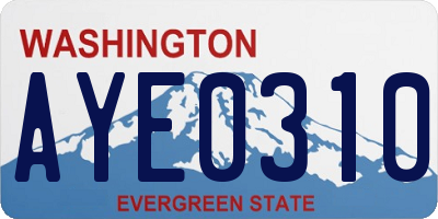 WA license plate AYE0310