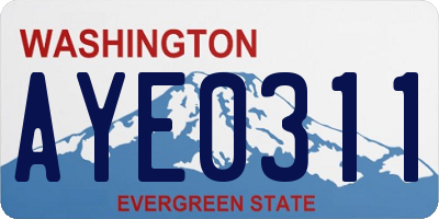 WA license plate AYE0311