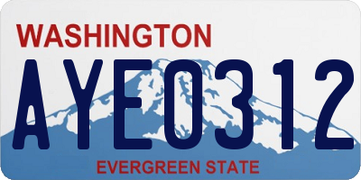 WA license plate AYE0312
