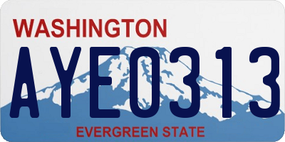 WA license plate AYE0313