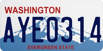 WA license plate AYE0314