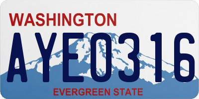 WA license plate AYE0316