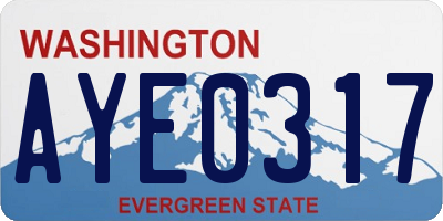 WA license plate AYE0317
