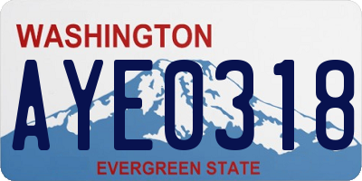 WA license plate AYE0318