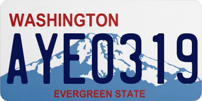 WA license plate AYE0319