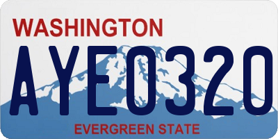 WA license plate AYE0320