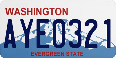 WA license plate AYE0321