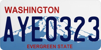 WA license plate AYE0323