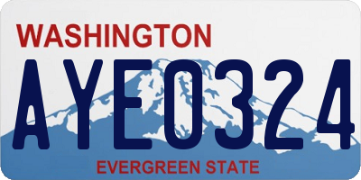 WA license plate AYE0324