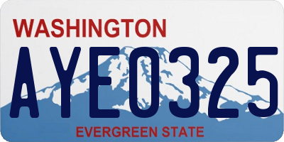 WA license plate AYE0325
