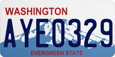 WA license plate AYE0329