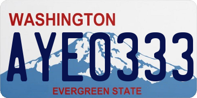 WA license plate AYE0333