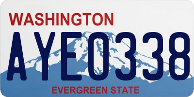 WA license plate AYE0338