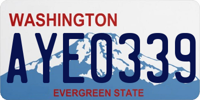 WA license plate AYE0339