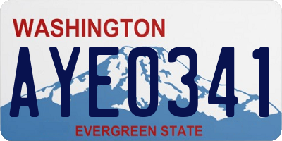 WA license plate AYE0341