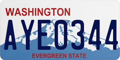 WA license plate AYE0344