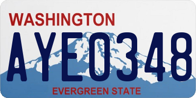 WA license plate AYE0348