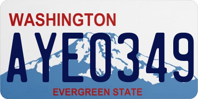 WA license plate AYE0349