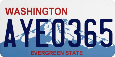 WA license plate AYE0365