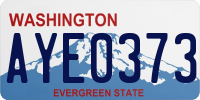 WA license plate AYE0373