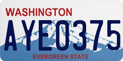 WA license plate AYE0375