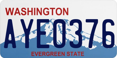 WA license plate AYE0376