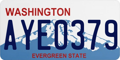 WA license plate AYE0379