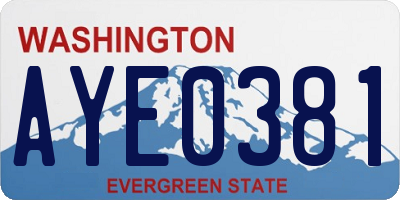 WA license plate AYE0381