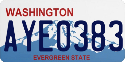 WA license plate AYE0383