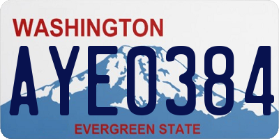 WA license plate AYE0384