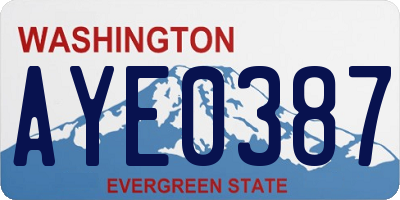 WA license plate AYE0387