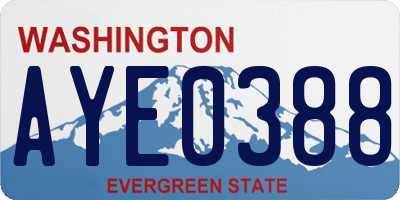 WA license plate AYE0388