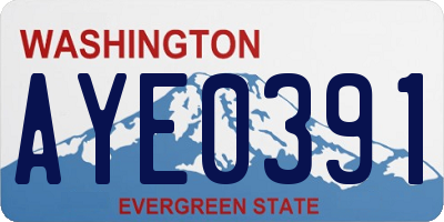 WA license plate AYE0391