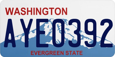 WA license plate AYE0392