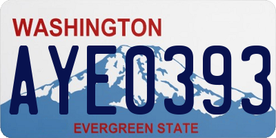 WA license plate AYE0393