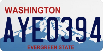 WA license plate AYE0394