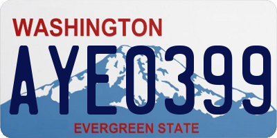 WA license plate AYE0399