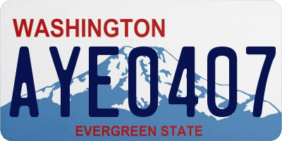 WA license plate AYE0407