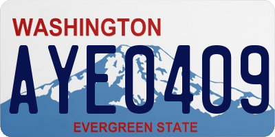 WA license plate AYE0409
