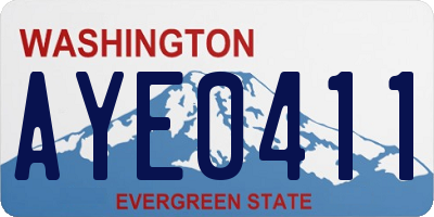 WA license plate AYE0411